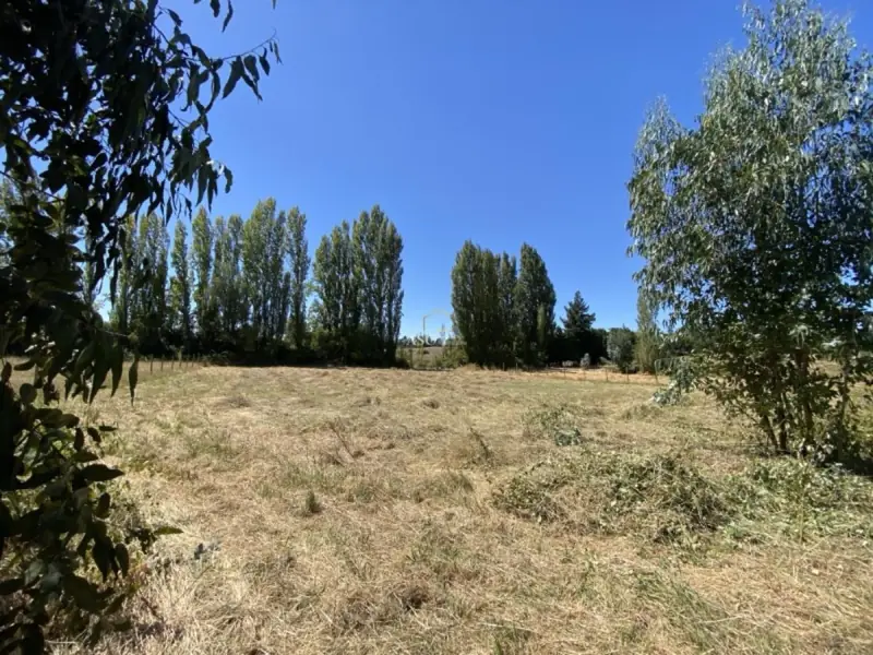 Sector los Troncos, Los Ángeles