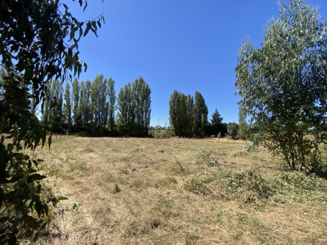 Sector los Troncos, Los Ángeles