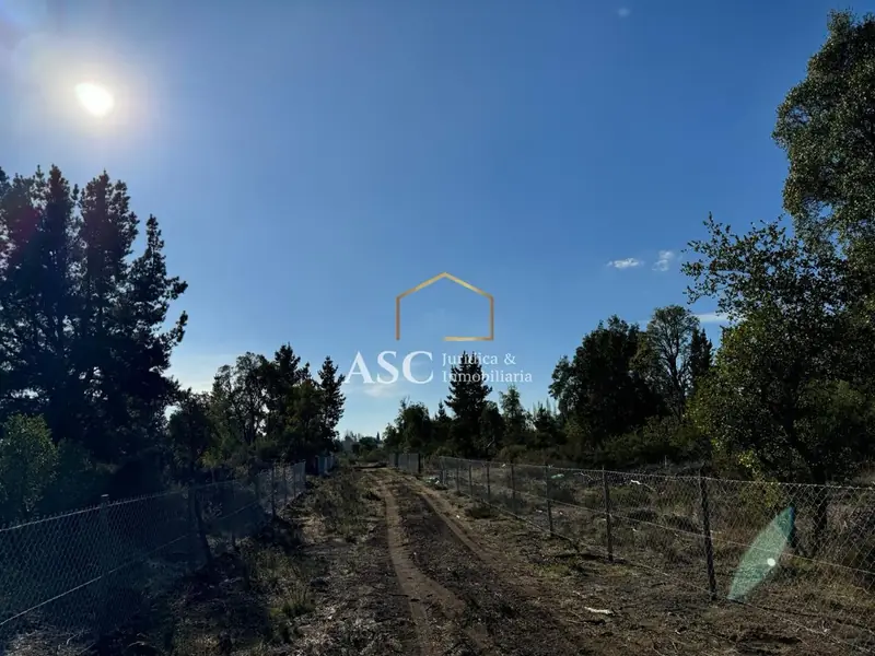 Hijuela Santa Rosa, Los Ángeles