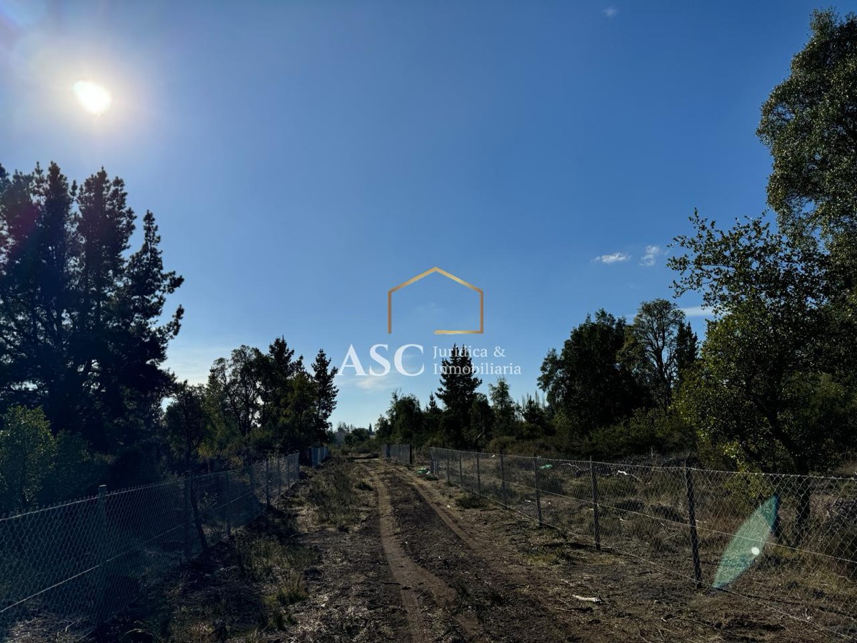 Hijuela Santa Rosa, Los Ángeles