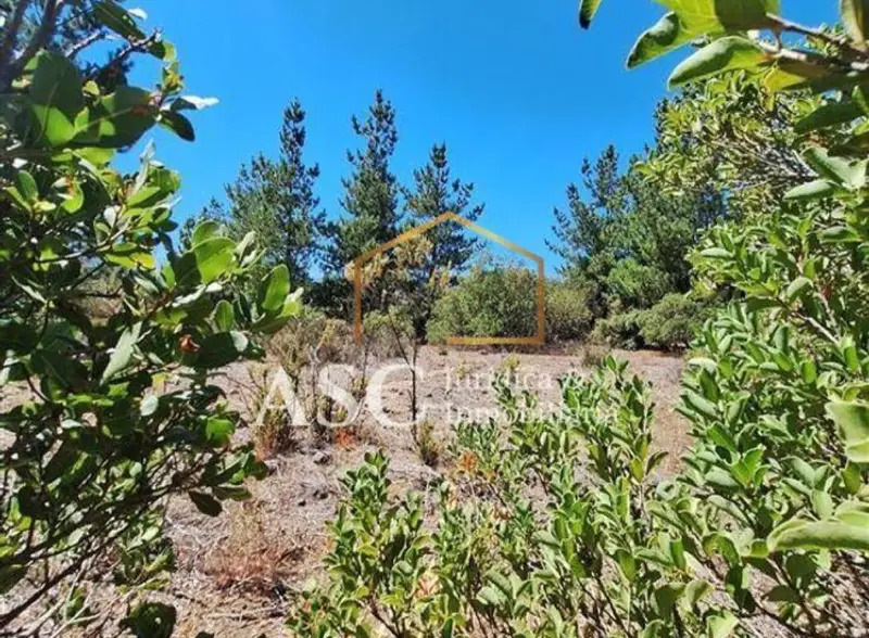 Nevados de Antuco, Los Ángeles