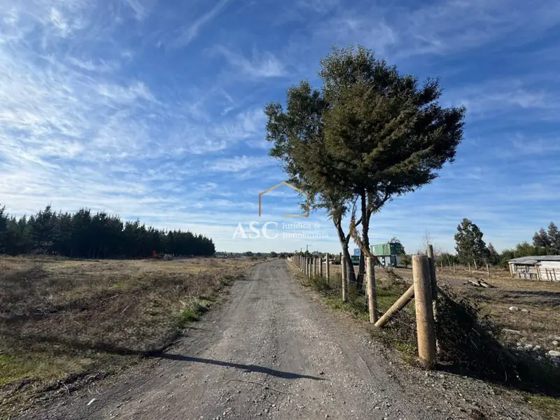 Parcela de Agrado, Los Ángeles